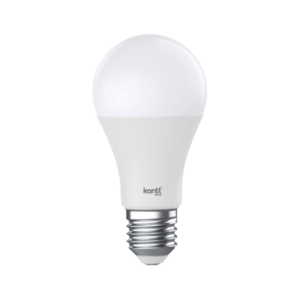 AC DC Bulb
